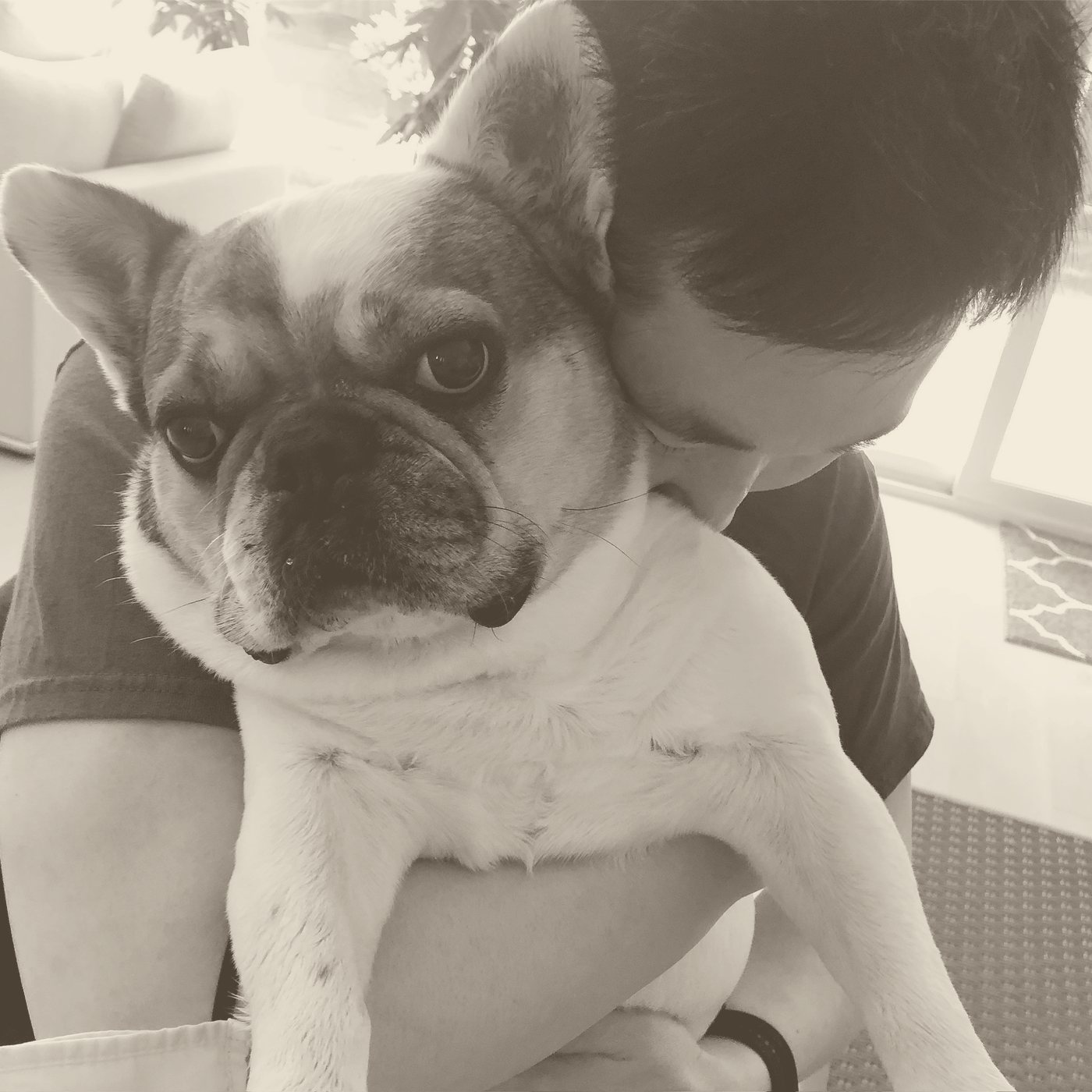 Wilbur